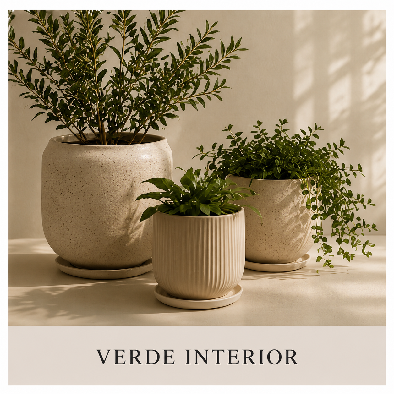Verde Interior